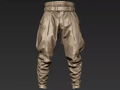ZBrush Tactical Pants 03 3D model