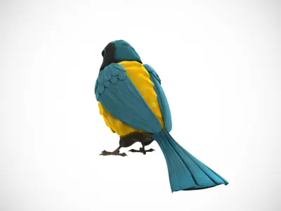 Cartoon Bird 3D model