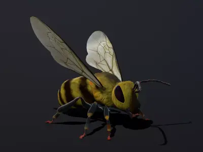 Bee low poly 3D model Low-poly 3D model