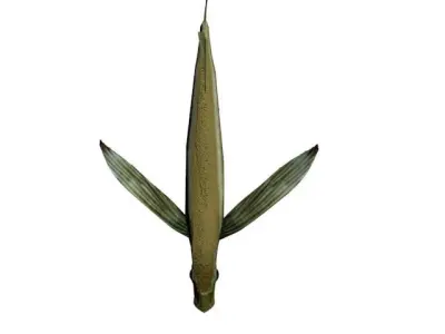 PAREXO LOW POLY fish with wings flying in air 3D model
