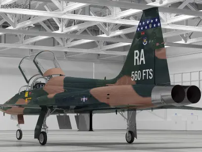  Military T-38 Talon Jet Trainer Camo 