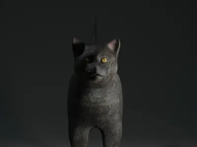 Black Cat Free low-poly 3D model