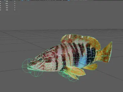 erranidae Low-poly 3D model