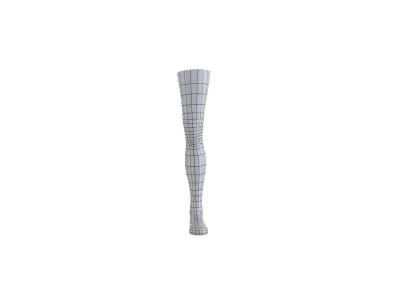 Leg 003 3D model purchase