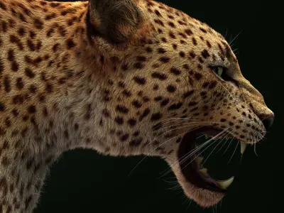 Leopard (3) (RIG) (Fur) 3D model