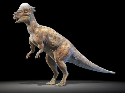 Pachycephalosaurus 3D model