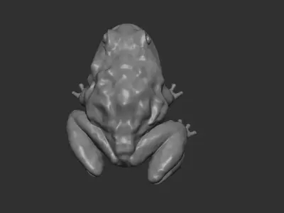 FROG model Low-poly 3D model