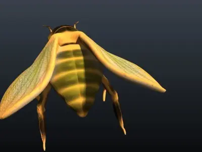 honey bee 3D model buy