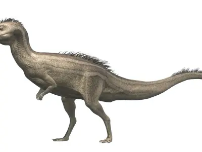 Dryosaurus Asset Pack Low-poly 3D model