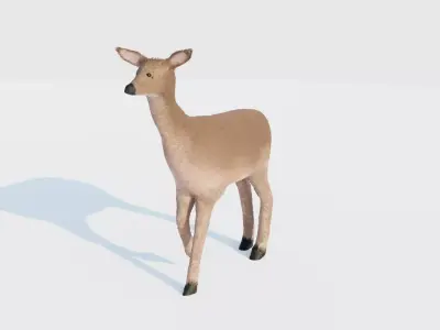 Realistic Deer with Fur Low-poly 3D model