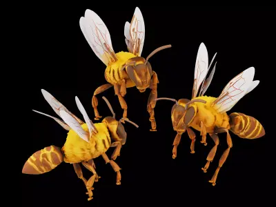 insect 3D model get