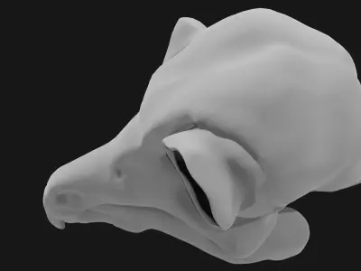 Owl skull 3D model