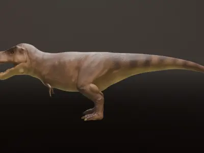 Tyrannosaurus Rex Walk  Body  Eyes Only No MusclesScene Low-poly 3D model