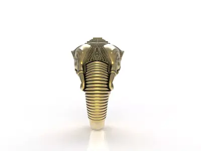 Elephant Ring 3D print model