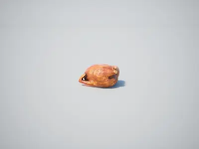 Chicken  Low-poly 3D model