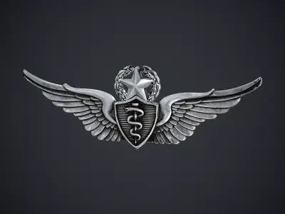 Flight Surgeon Badge Low-poly 3D model