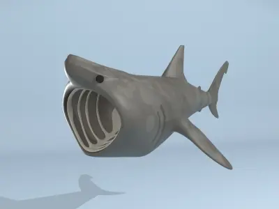Stylized Basking Shark Low-poly 3D model
