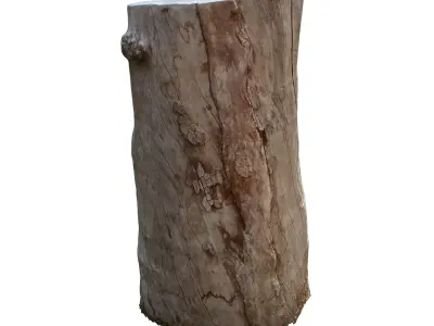 tree truck 16 3D model