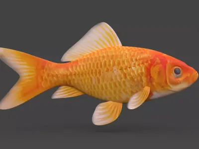 Gold Fish 3D model get