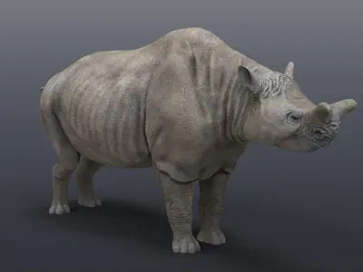 Megacerops coloradensis 3D model