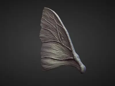 WING38 high poly sculpt 3D model