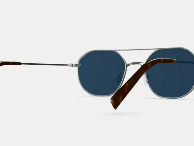 Renaldo Sunglasses in Antique Silver 3D model