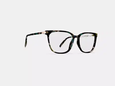 Esme Eyeglasses in Aventurine Tortoise with Polished Gold 3D model purchase