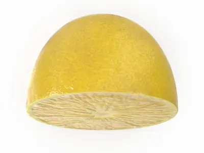 Lemon Slice 