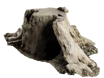  Short Cut Bare Decaying Stump Model 