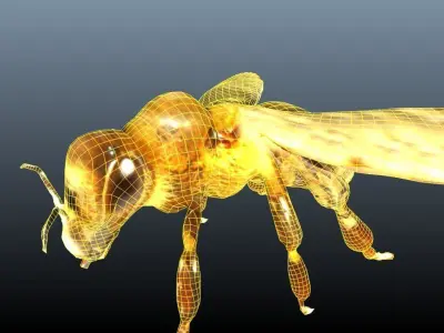 honey bee lowpoly Low-poly 3D model