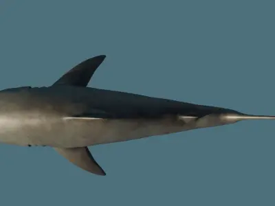 Shark 3D model Low-poly 3D model