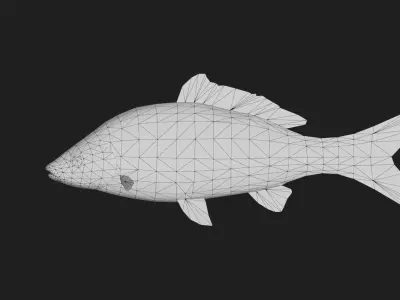 Carp fish Low-poly 3D model
