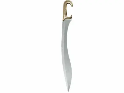 Falcata 3D model