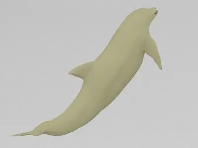 dolphin Free 3D print model