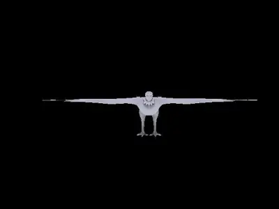 Turkey Vulture Free low-poly 3D model