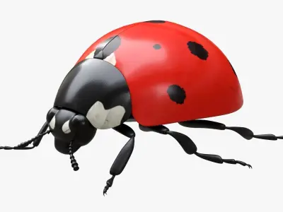Ladybug 3D model shop