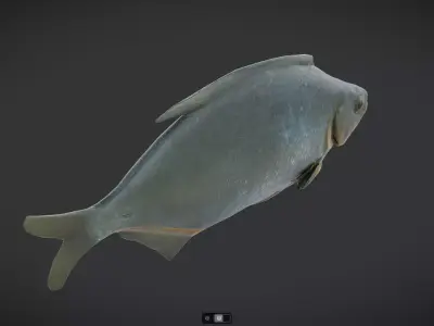 Dried Fish Low-poly 3D model