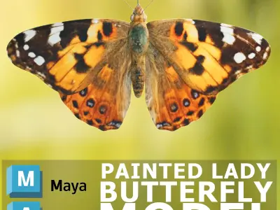 Painted Lady - Butterfly Model 3D model