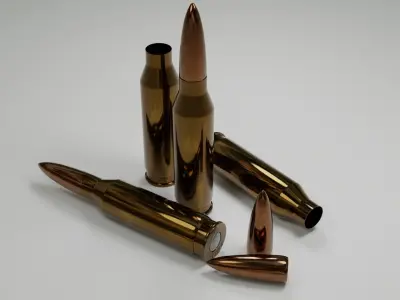 Cartridge Bullet Free 3D model