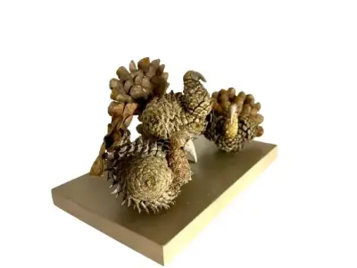 Handcrafted Pine Cone Sculpture High  Poly 3D Model OBJ FBX  Low-poly 3D model