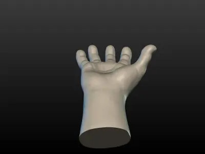 High Poly Hand 3D print model