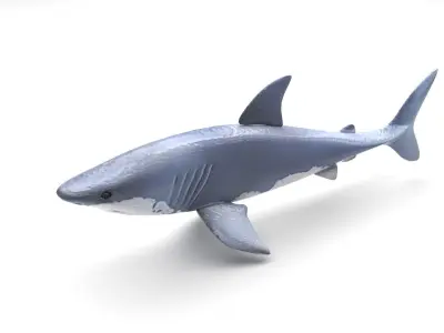 Animated and Rigged Swimming White Shark 3D model