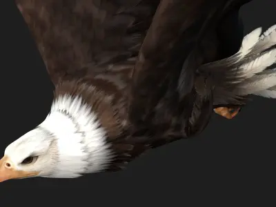 Eagle-B2 3D model