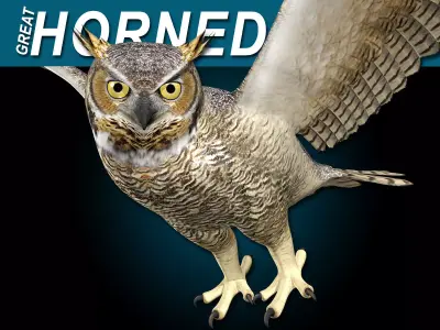 Great Horned Owl - Flight 3D model