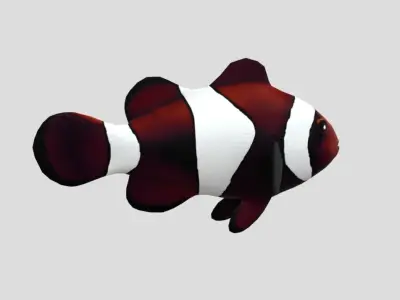 clownfish Low-poly 3D model purchase