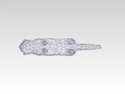 Cat Wireframe 3D model