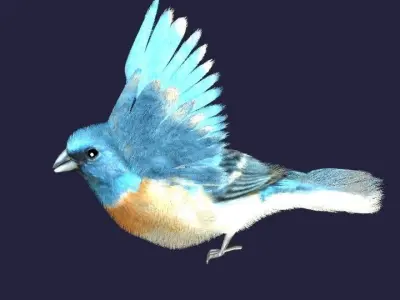 Utah Bird Low-poly 3D model