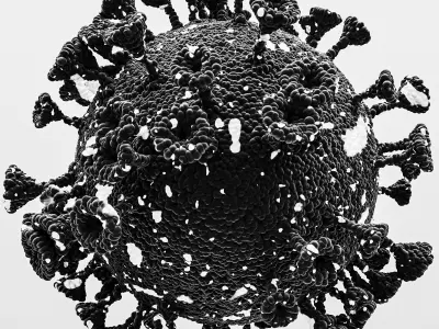 coronavirus corona virus 3D model