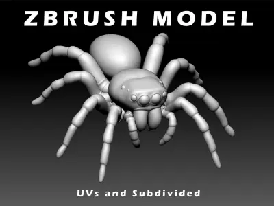 Jumping Spider Low-poly 3D model buy