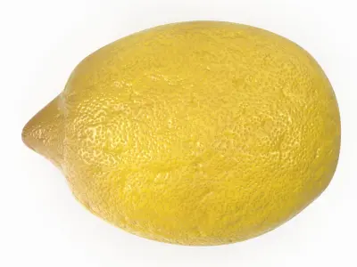Lemon  purchase 3D model